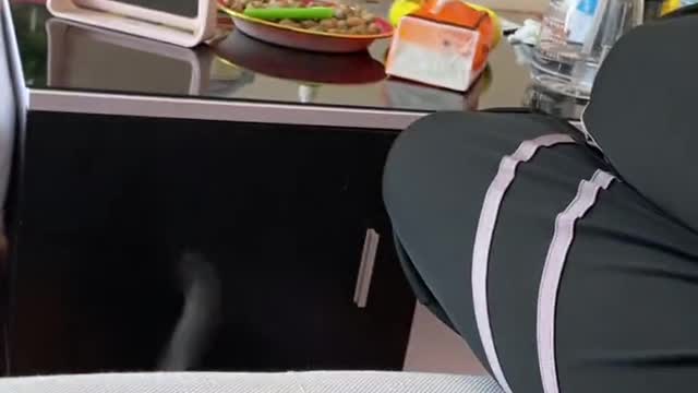 I heard that cats will come when they hear this sound?