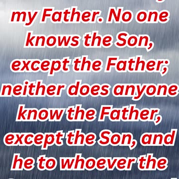 "Jesus Reveals His Unique Relationship with the Fther" Matthew 11:27.#shortvideo #youtubeshorts #yt