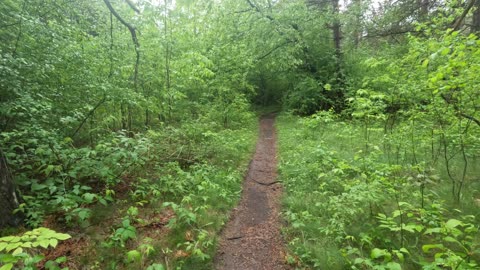 🥕 Exploring The Greenbelt Pathway To Shirley's Bay Trails In Ottawa🌳 Canada 🍁