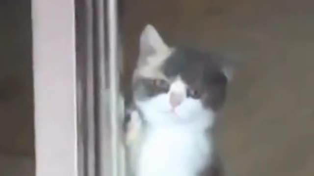 Open the door please