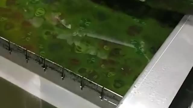 Satisfying Video of works doing there job perfectly.