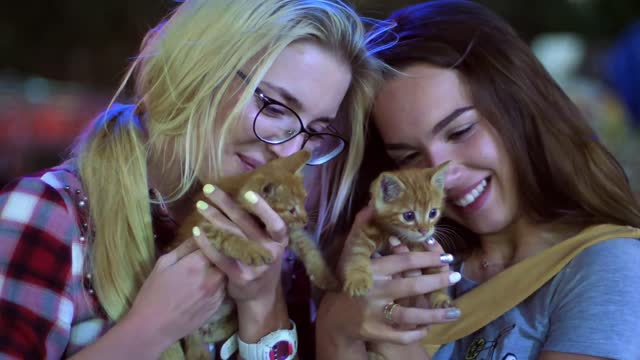 Two girls playing with two cute cats