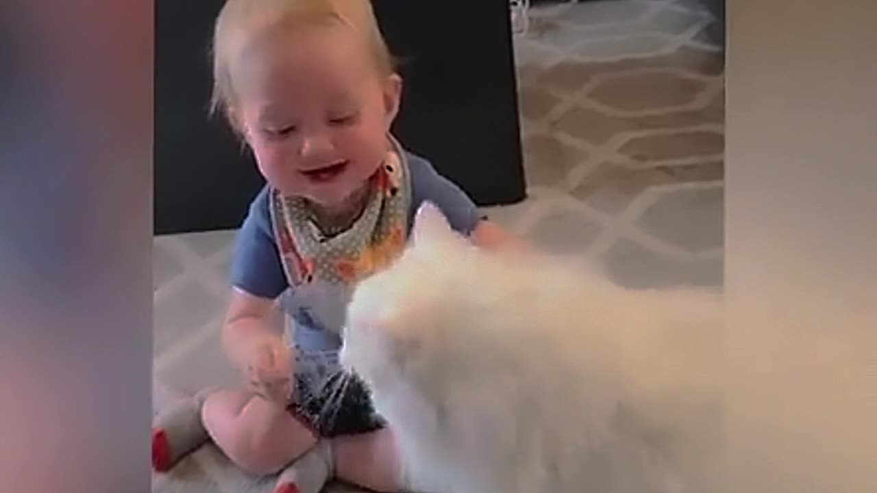 funny baby smyling with cat #baby #smyling #cat #funn