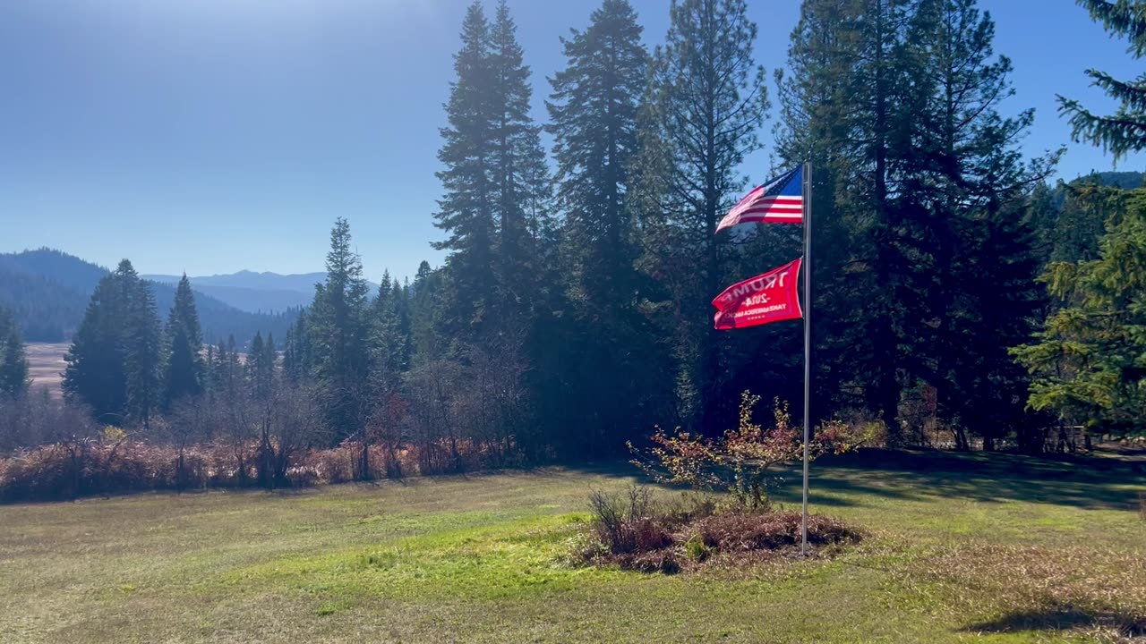 Flags at the cabin tip the election
