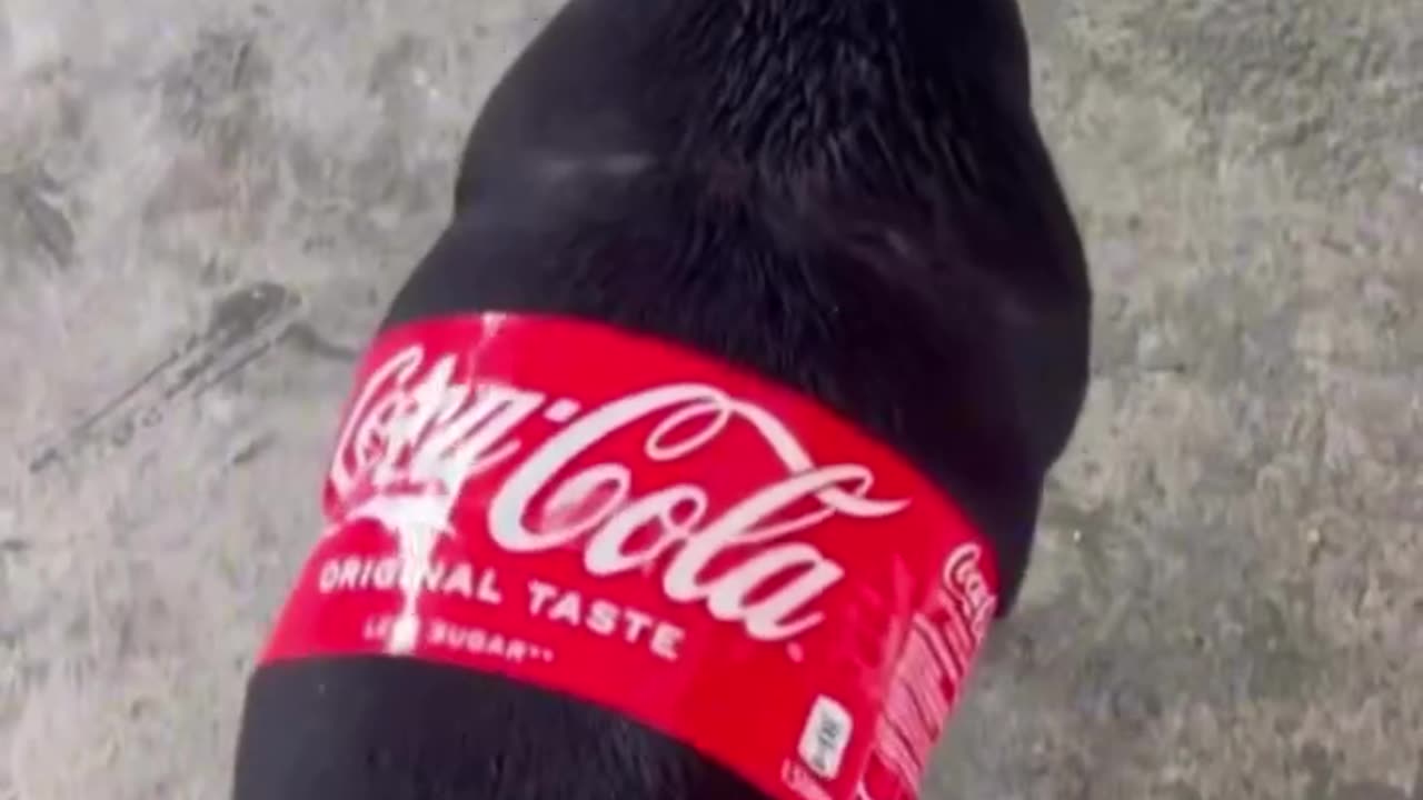 Real coca cola found :)