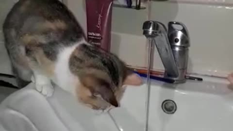 global coronavirus day 4