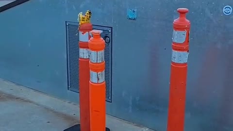 3 dirty traffic cones