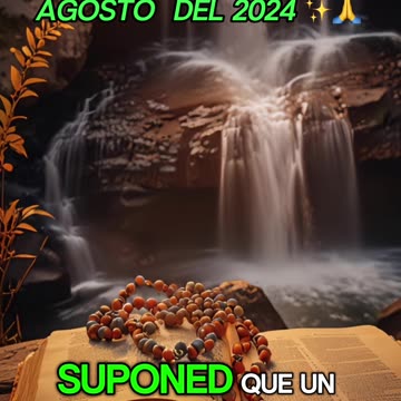 🙏✨Evangelio de HOY. Martes 13 de Agosto del 2024 ✨🙏