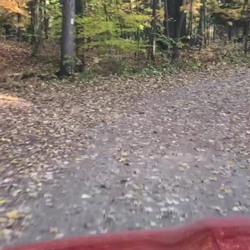 Our road to the cottage