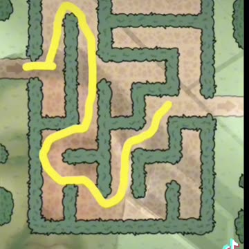 Palestine Maze Free Palestine 🇵🇸👍