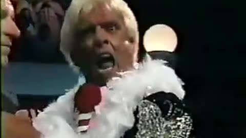 WWF Wrestling Challenge - Sep 22 1991