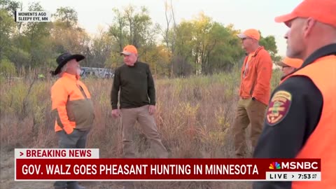 MSNBC gushes over Walz doing a pheasant hunt photo op, attempting to appeal to men voters.