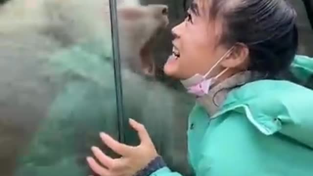 Monkey and children funny videos