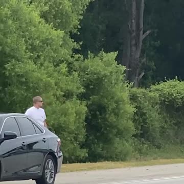 GINORMOUS ALLIGATOR on GA Interstate