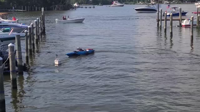 Dog Enjoying Remote Control Boat Ride on the 4th