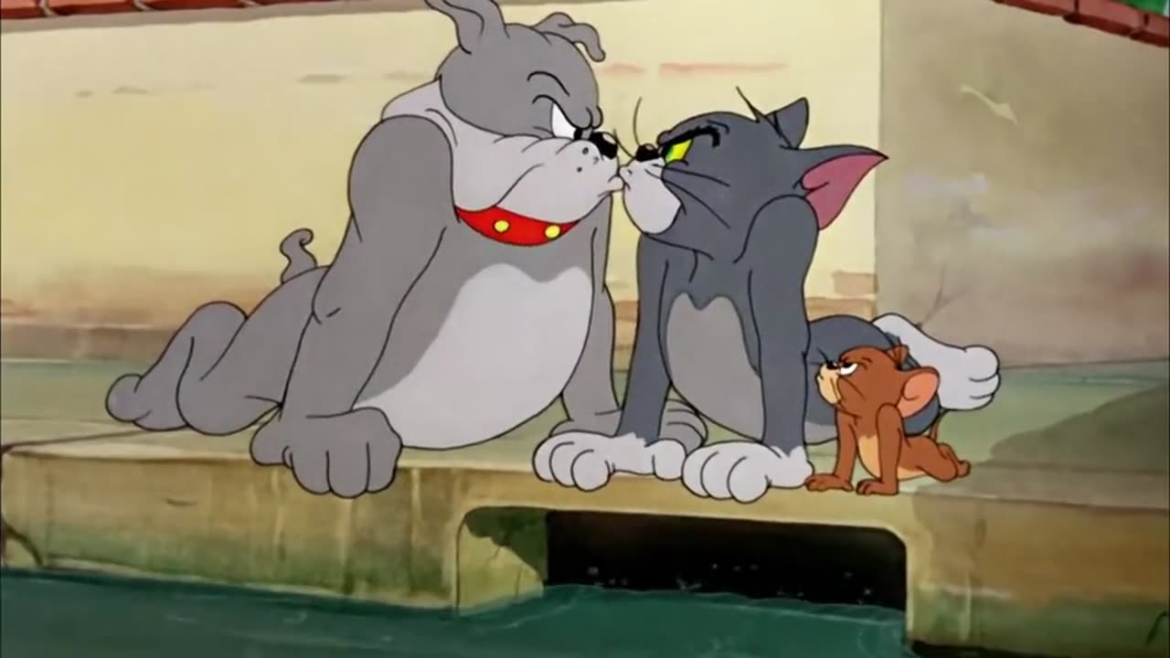 Tom And Jerry Funny Scense