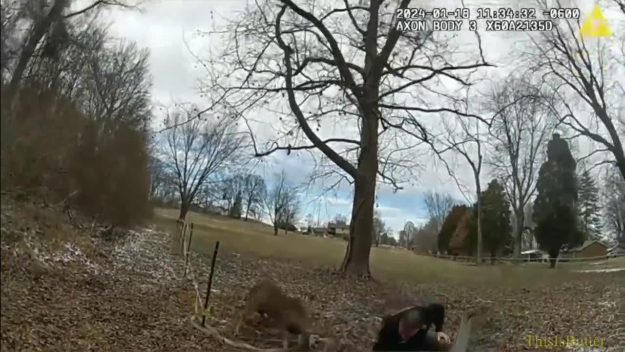 Deer Knocks Deputy to the Ground During Rescue