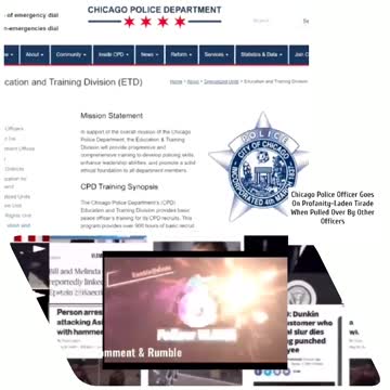 Chicago Police Officer Goes On Profanity-Laden Tirade