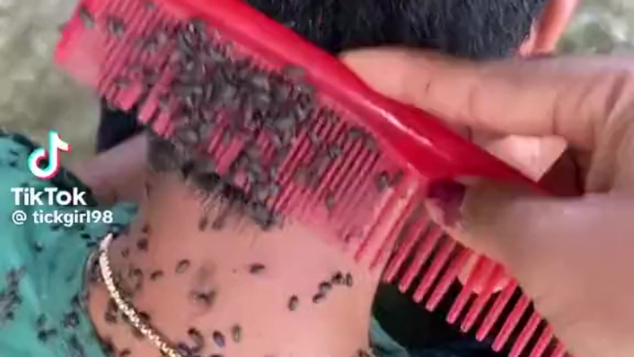 He Is So Calm Like This Is Normal