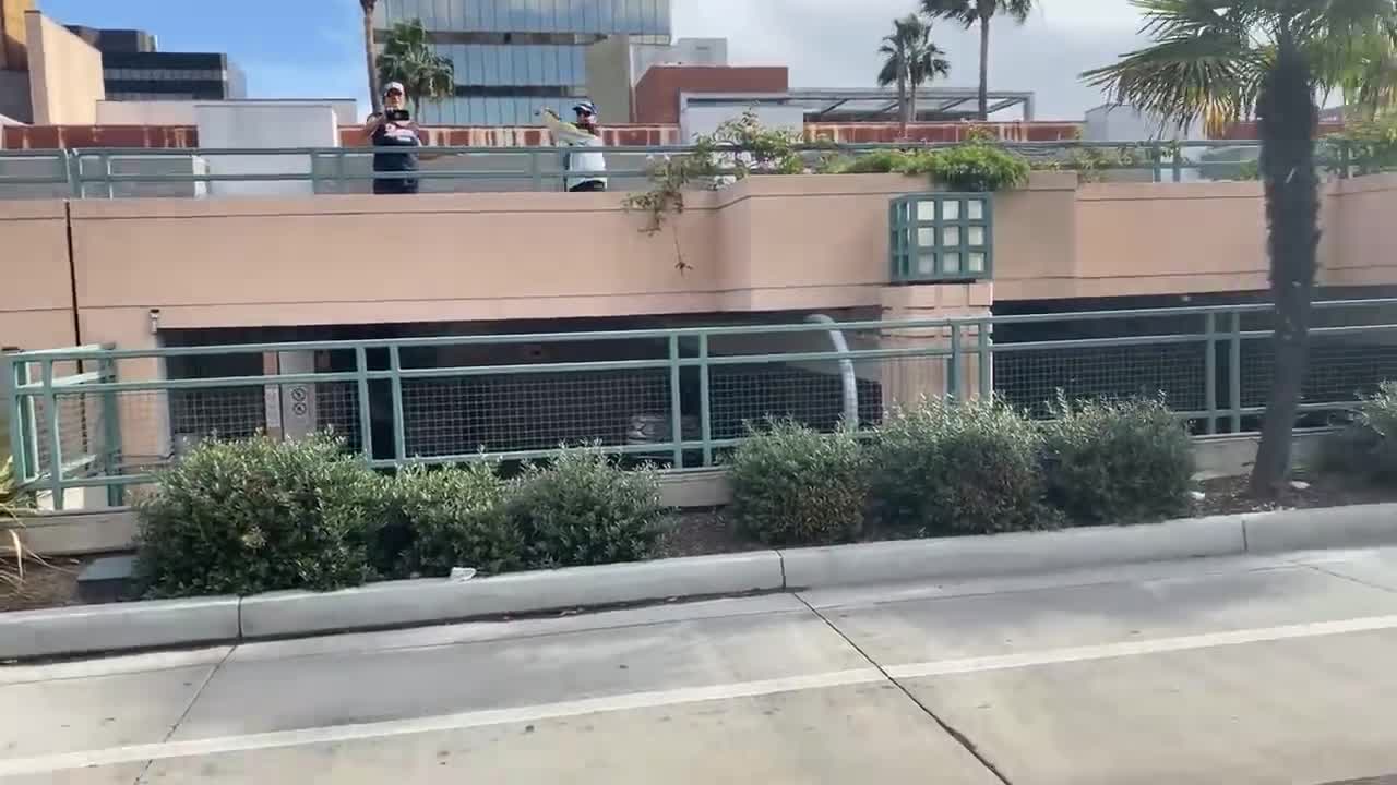 11/07/2020 #stopthesteal in CA P2