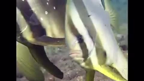 Time with God - July 6