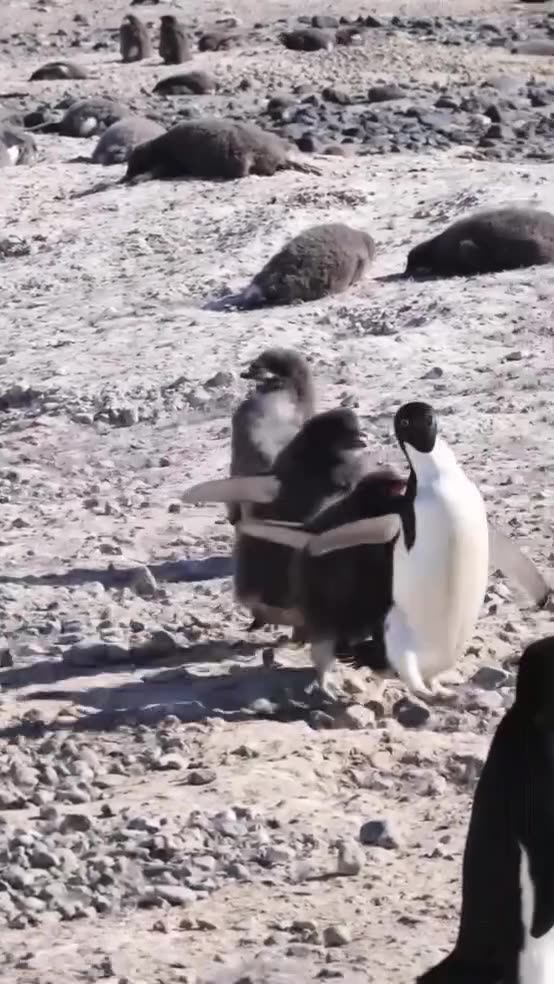 The happiness of motherhood.