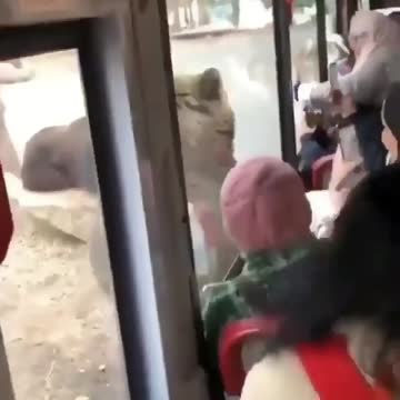 Hello 👋 my friends