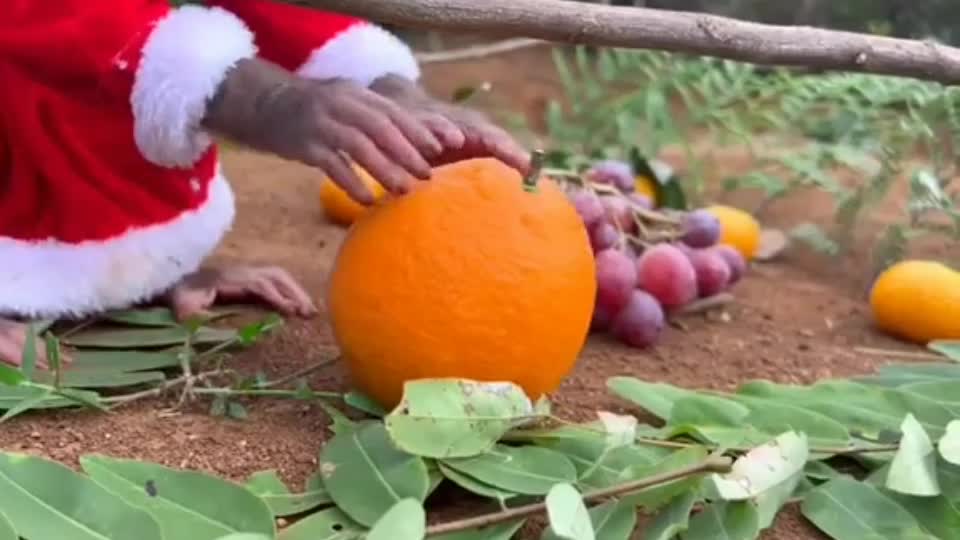 BiBi harvests fruit and enjoys them in the pool