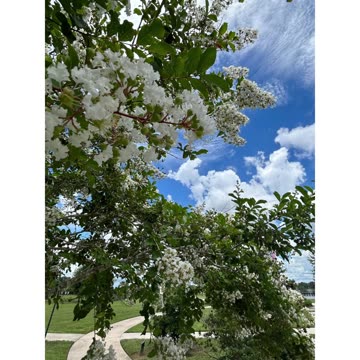 "Mikro Bass Track" by Freddy Matthews