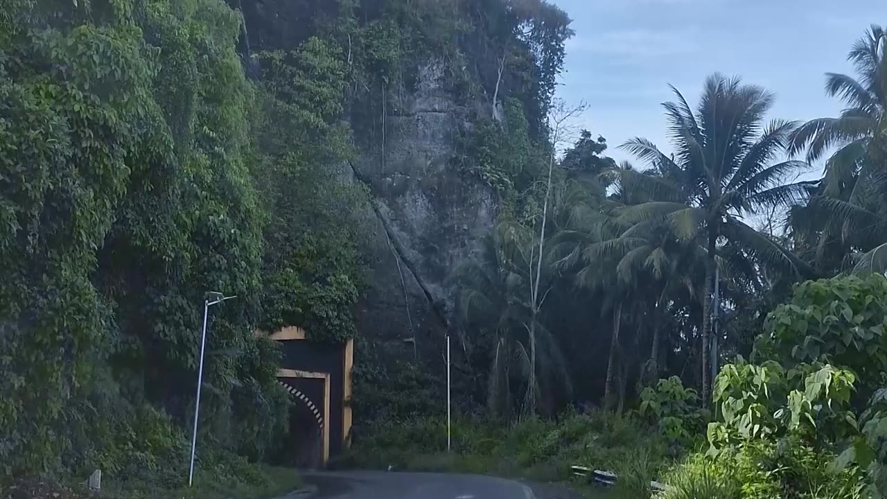 🚗💨 Driving Through Picong Tunnel 🚗💨