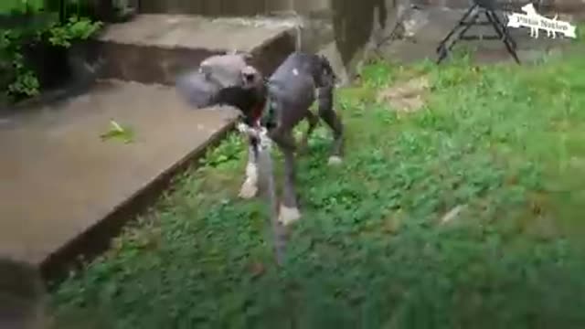 I am very hungry 3