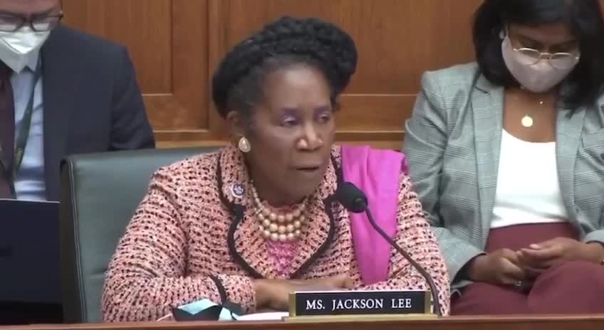 More Democrat Lies - Rep. Sheila Jackson Lee Claims Border is Secure