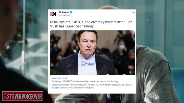 Elon Musk Fires The Tesla President Of LGBTQ+