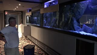 THIS IS THE 800 GALLON AQUARIUM WE GAVE OVER 200 FISH SO FAR