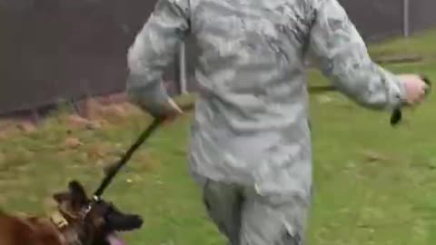 Army Dog training video