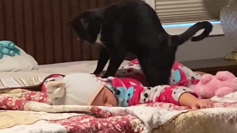 Cat: “can we help you?”