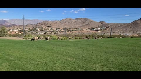 Boulder City & Nelson, Nevada