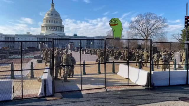 Let's cheer~ Pepe Cheer up in White House