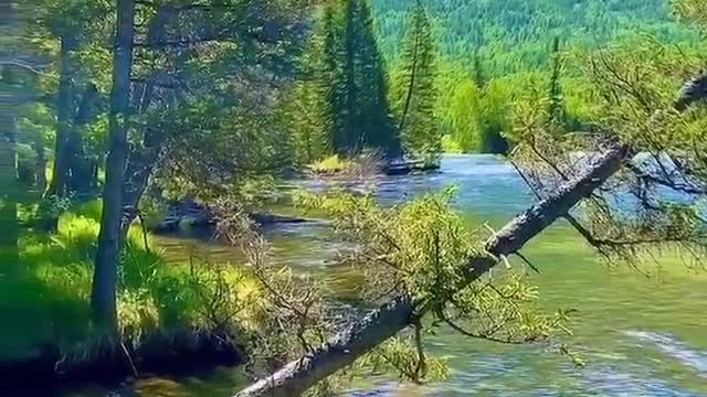 The most beautiful natural scenery