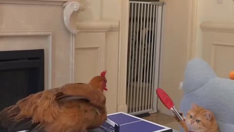 Random, I know🤷‍♀️