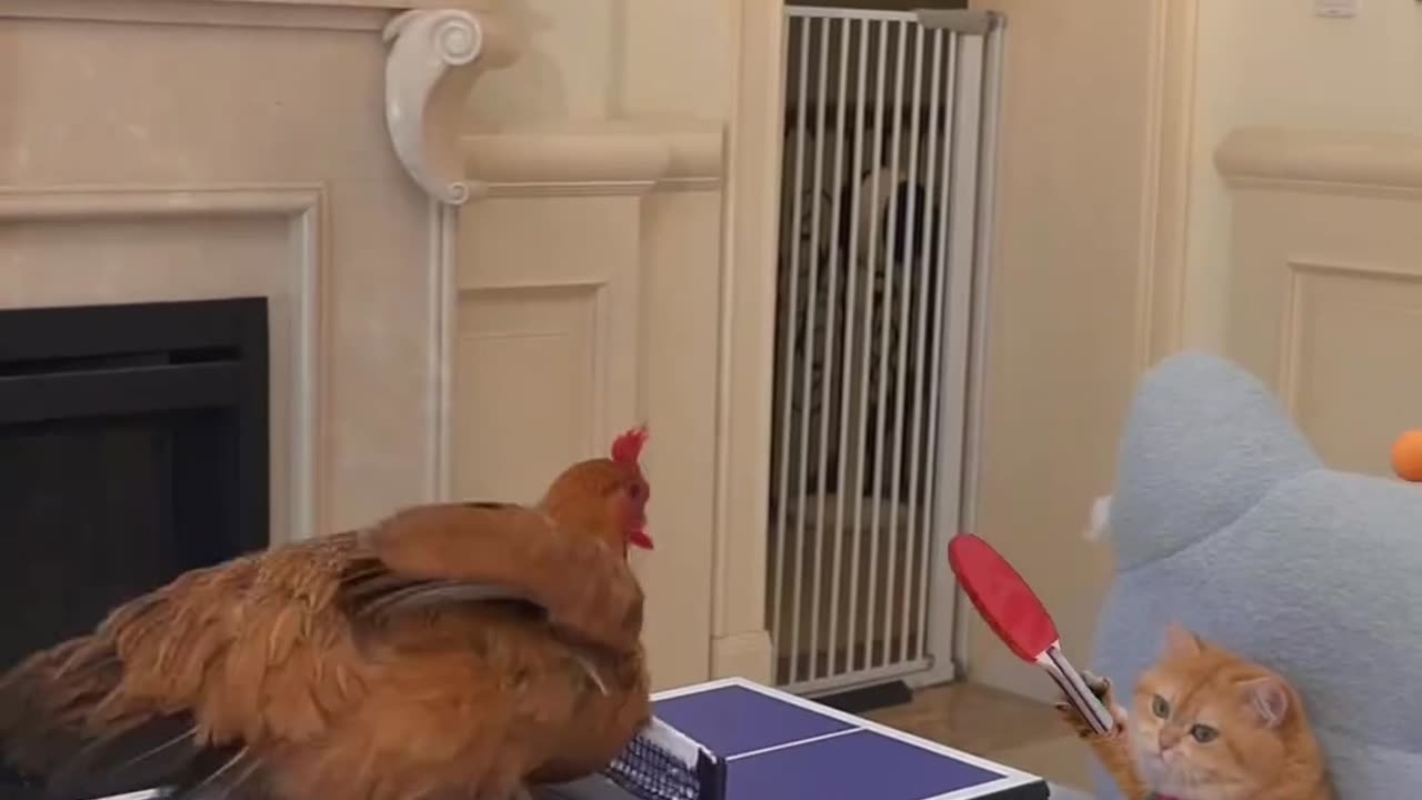 Random, I know🤷‍♀️