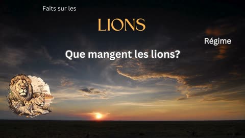Fait sur le Lion 5 - Que mangent les lions?