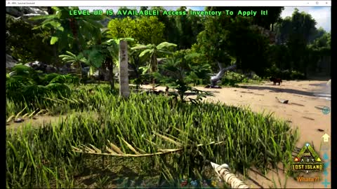 Whata?! ARK-Lost Island Episode 1