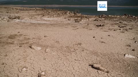 Lowest water levels ever in Bosnia and Poland: record-breaking summer wreaks drought