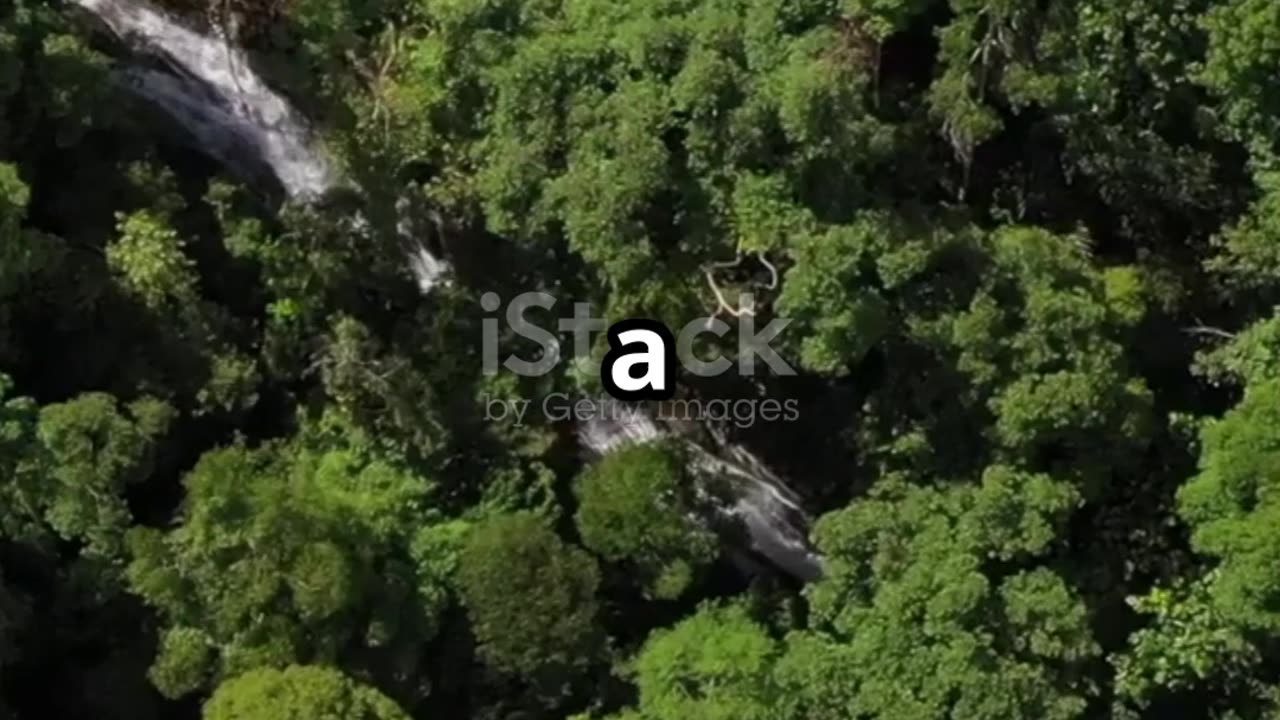 Discover Ulu Temburong National Park: Hidden Gems! #travel #explore #history