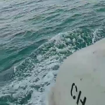 Risky Drive Ocean Fish Broad