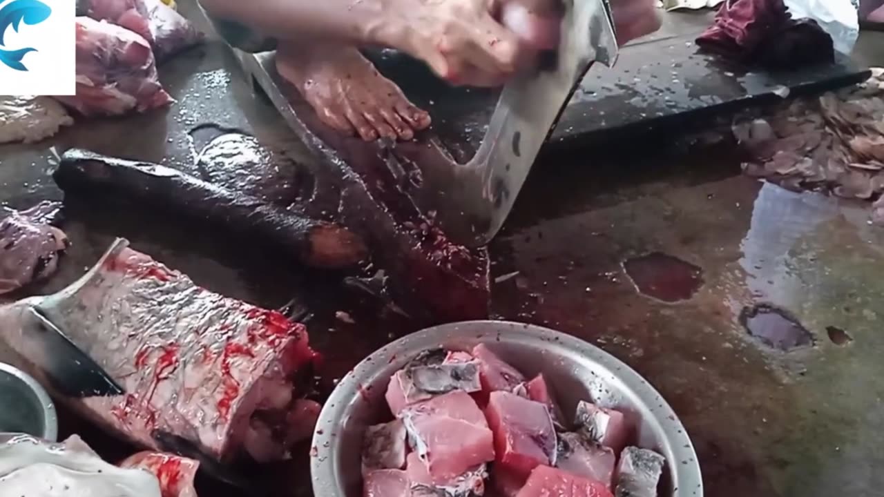 Amazin Fish Cutting