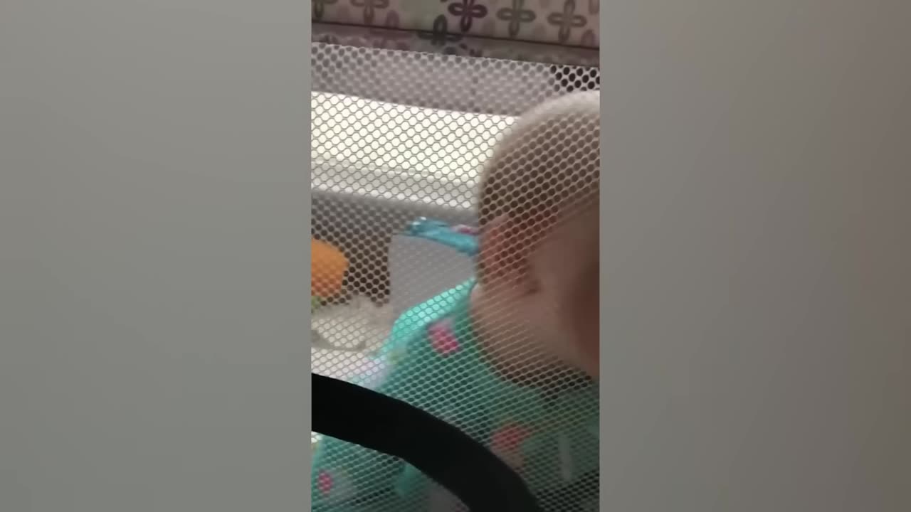 Funniest babies Videos