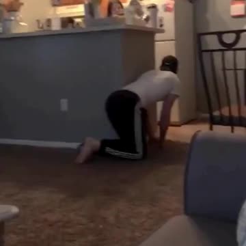 Guess we know who the cat's favorite