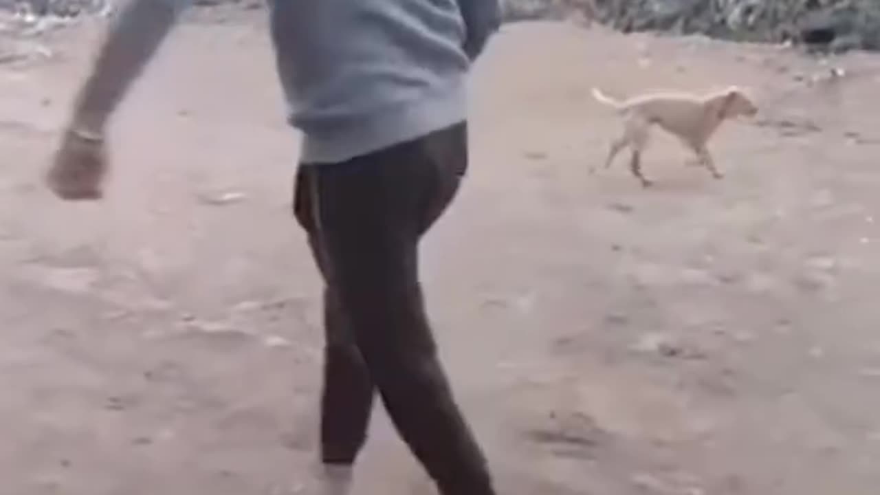 Fun😂😆😆🤣🤣